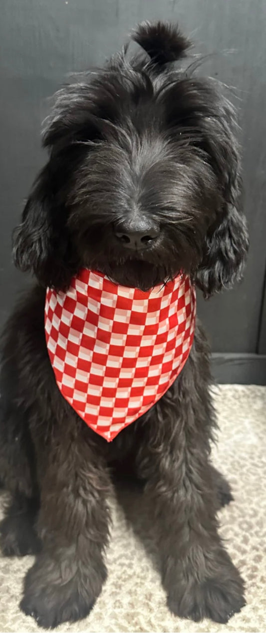 Pep Rally checkered rag